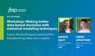 Workshop: Making better data-based decisions with statistical modelling techniques