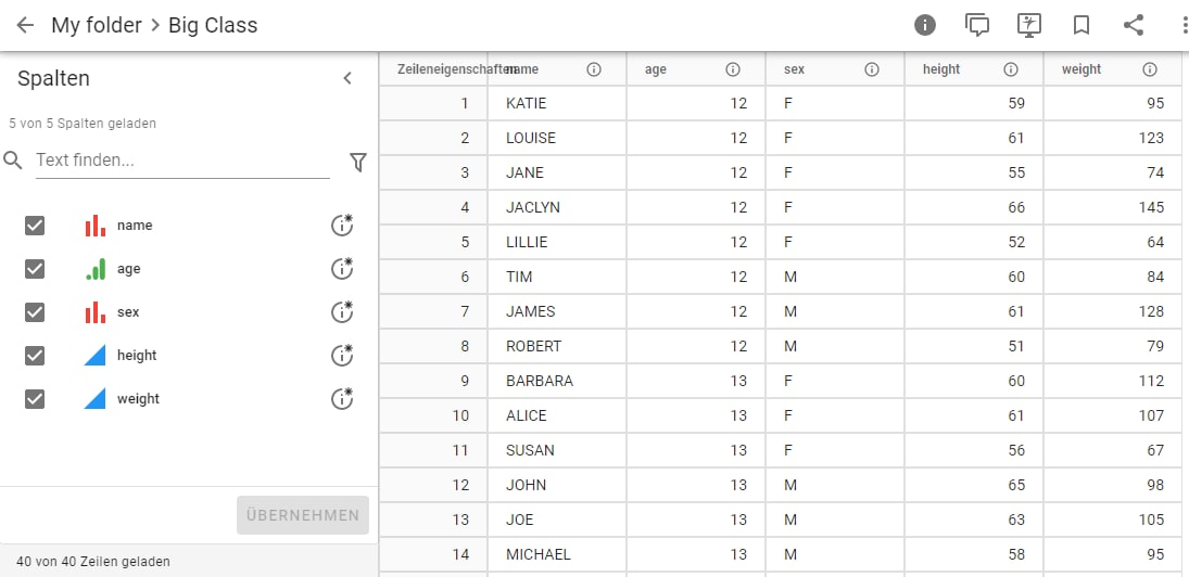 Example Data Table