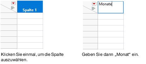 Entering a Column Name