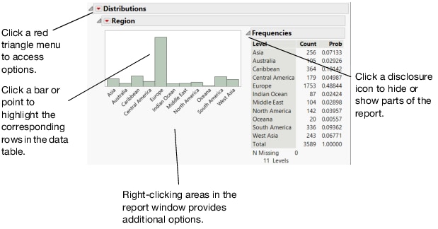 Report Window Features