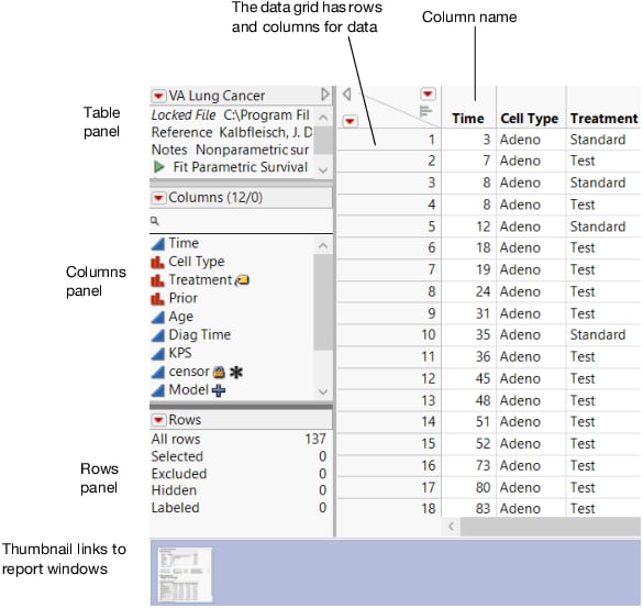 A Data Table