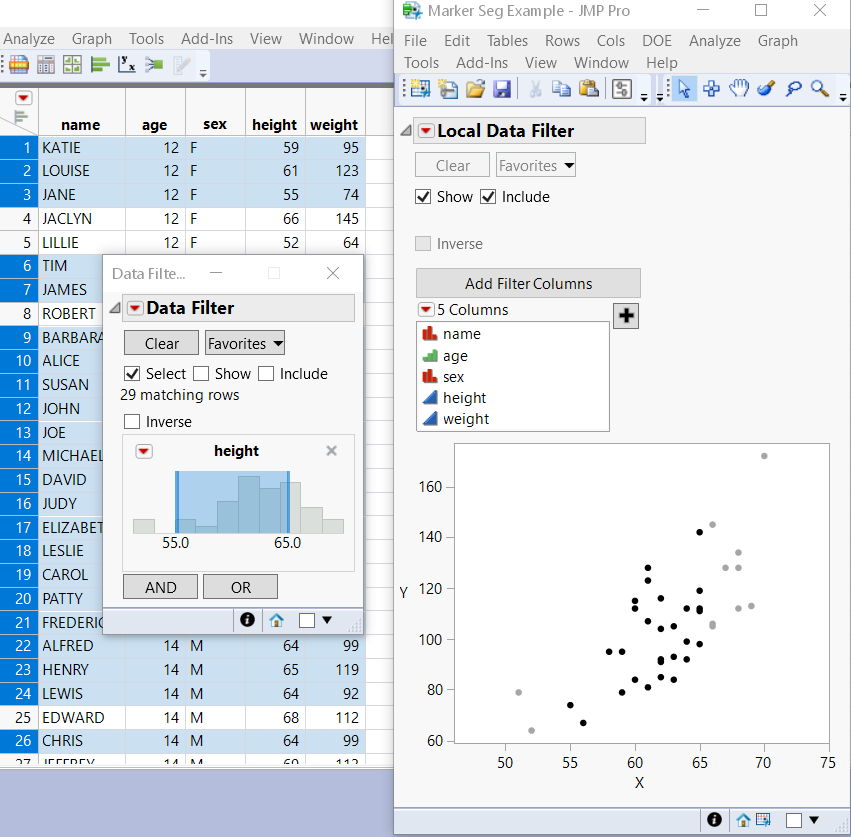 Data Filter Hierarchy