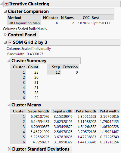 Self Organizing Map Report