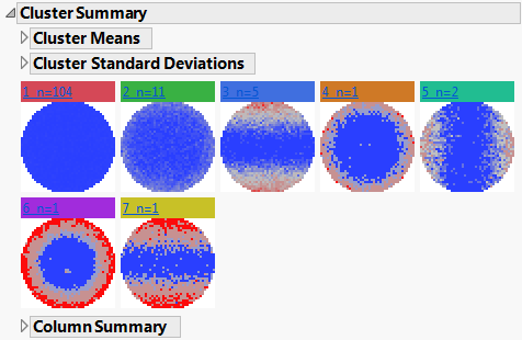 Cluster Summary Report