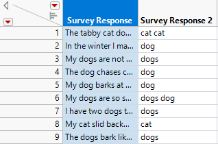 Data Table with New Columns