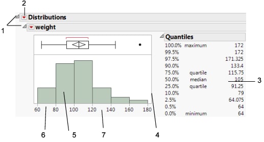 Basics of the Report Window