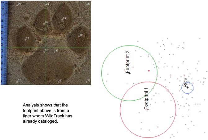 Example of Extracting and Analyzing Data