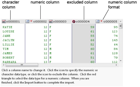 Text Import Wizard Window with Column Options