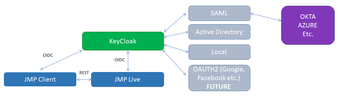 JMP Live Authentication Options and Flow