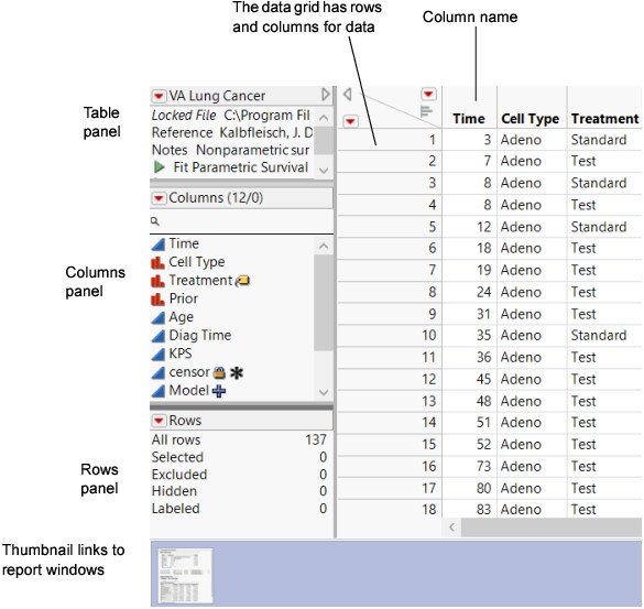 A Data Table