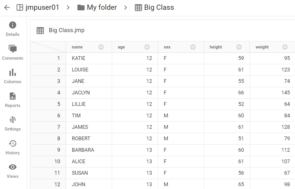 Example Data Table