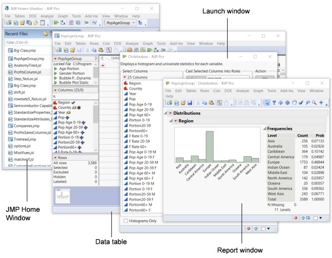 Anatomy of a Typical JMP Session on Windows