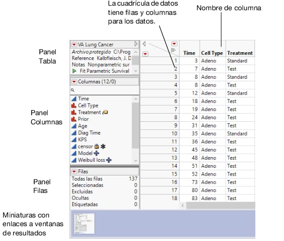 A Data Table