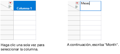 Entering a Column Name