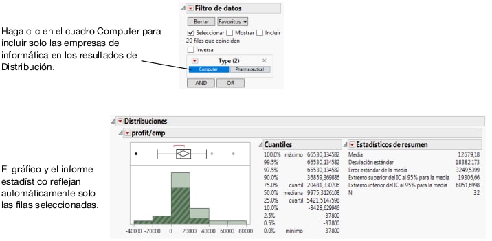 Filter for Computer Companies