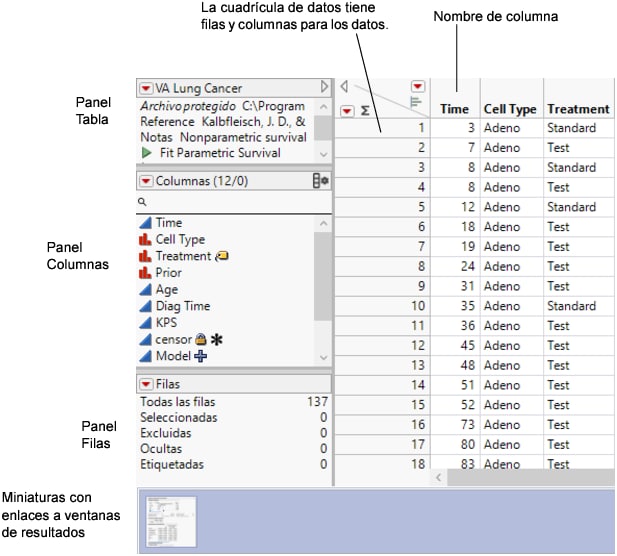 A Data Table