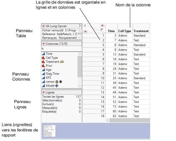 A Data Table