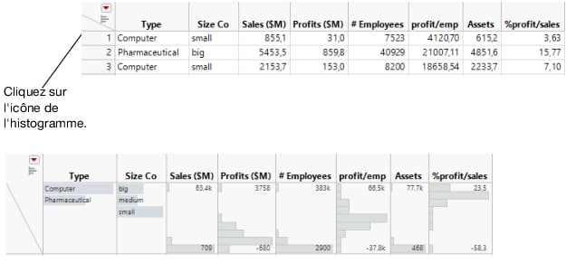 Instant Histograms