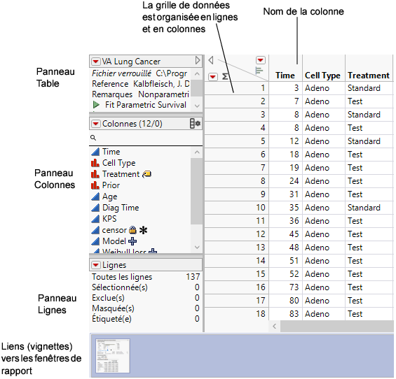 A Data Table