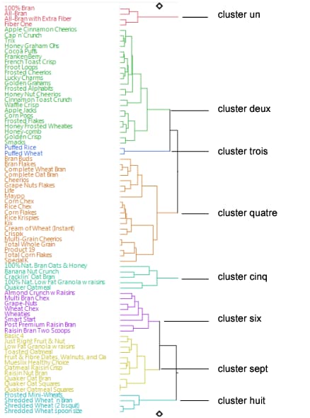 Colored Clusters