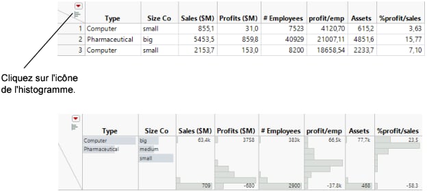 Instant Histograms