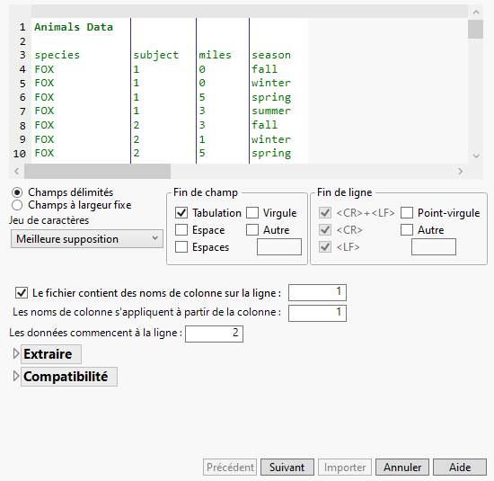 Initial Preview Window