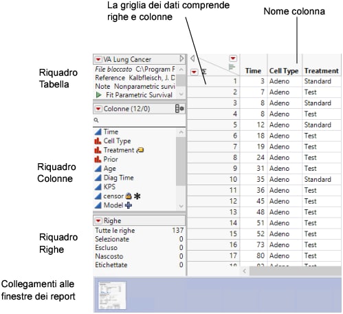 A Data Table