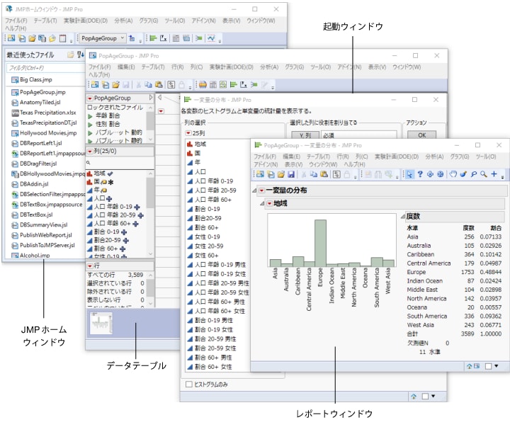 Windowsでの典型的なJMPセッションの構成