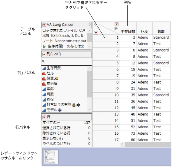 データテーブル