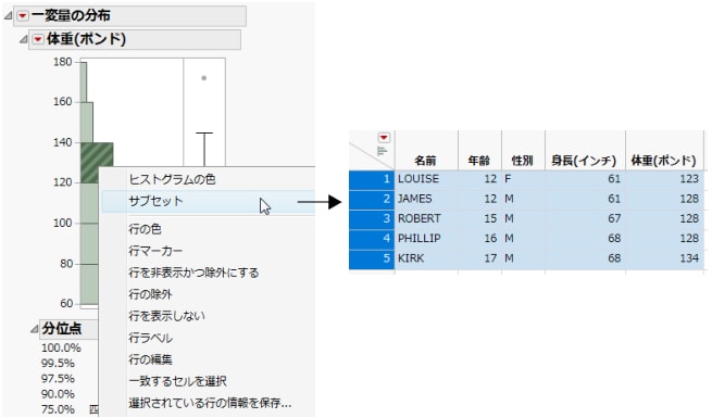 レポートからのサブセットの作成