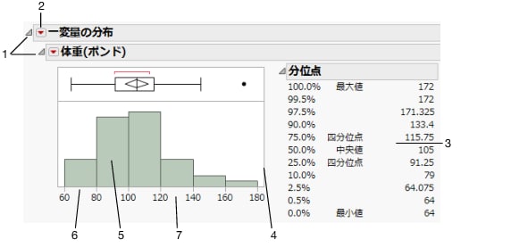 レポートウィンドウの基本