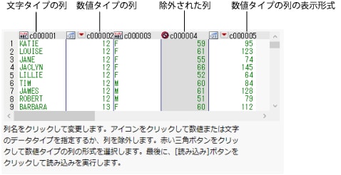 テキスト読み込みウィザードのウィンドウ（列オプション）