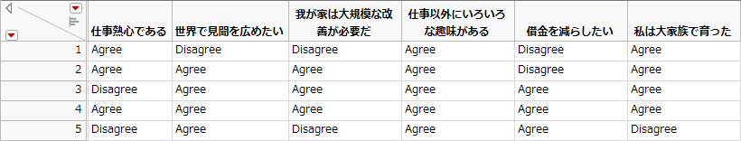 「Consumer Preferences」データテーブル（一部）