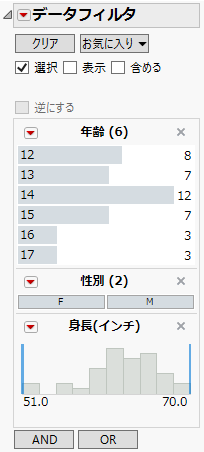 「データフィルタ」パネル