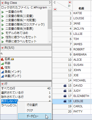 「行」パネルからデータビューを作成