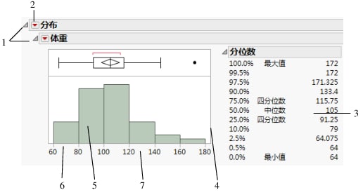 Basics of the Report Window