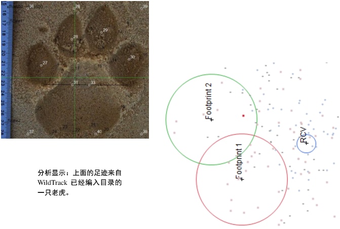 Example of Extracting and Analyzing Data