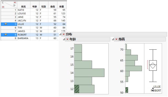 Example of the Distribution Platform