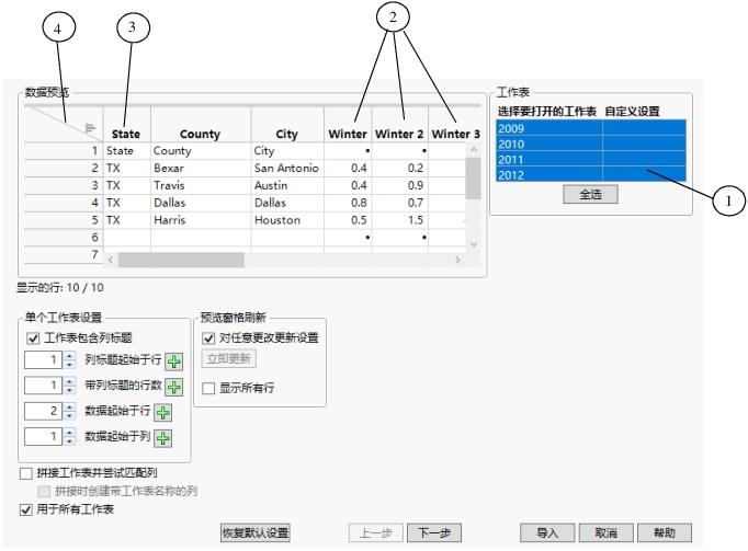 Excel Import Wizard Preview