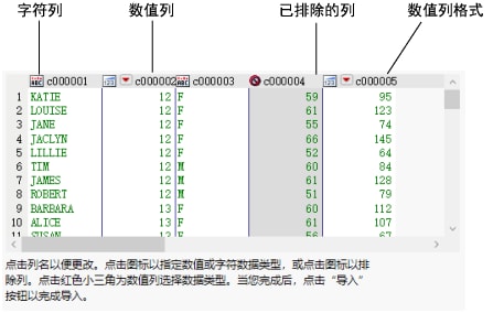 Text Import Wizard Window with Column Options