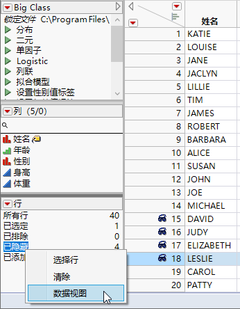 Creating a Data View from the Rows Panel